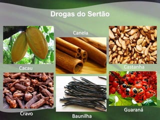 Drogas do Sertão

              Canela




Cacau                      Castanha




                           Guaraná
Cravo        Baunilha
 