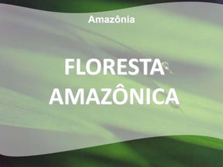 Amazônia




 FLORESTA
AMAZÔNICA
 