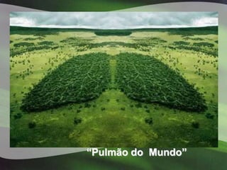 “Pulmão do Mundo”
 