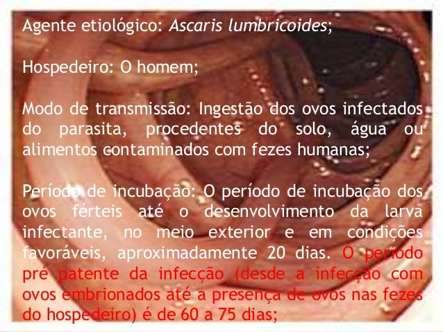 ascaridase-candidase-4-638.jpg?cb=1380989729