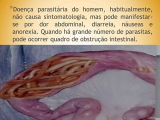 *Doença parasitária do homem, habitualmente,
não causa sintomatologia, mas pode manifestar-
se por dor abdominal, diarreia, náuseas e
anorexia. Quando há grande número de parasitas,
pode ocorrer quadro de obstrução intestinal.
 