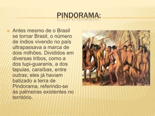 PINDORAMA:
   Antes mesmo de o Brasil
    se tornar Brasil, o número
    de índios vivendo no país
    ultrapassava a marca de
    dois milhões. Divididos em
    diversas tribos, como a
    dos tupi-guaranis, a dos
    tapuias, caraíbas, entre
    outras; eles já haviam
    batizado a terra de
    Pindorama, referindo-se
    às palmeiras existentes no
    território.
 