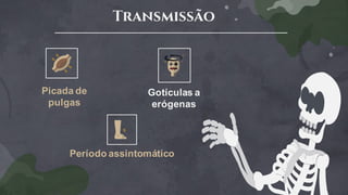 Transmissão
Gotículas a
erógenas
Período assintomático
Picada de
pulgas
 