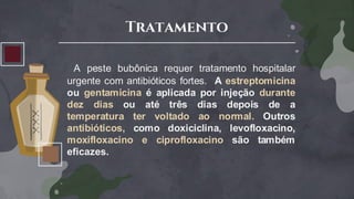 Tratamento
A peste bubônica requer tratamento hospitalar
urgente com antibióticos fortes. A estreptomicina
ou gentamicina é aplicada por injeção durante
dez dias ou até três dias depois de a
temperatura ter voltado ao normal. Outros
antibióticos, como doxiciclina, levofloxacino,
moxifloxacino e ciprofloxacino são também
eficazes.
 