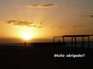  insuficiência cardíaca (portugues)