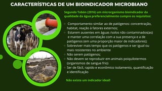 Comportamento similar ao de patógenos: concentração,
habitat, reação à fatores externos;
Estarem ausentes em águas /solos não contaminados(as)
e manter uma correlação com a sua presença e a de
patógenos (em uma proporção maior de indicadores);
Sobreviver mais tempo que os patógenos e ser igual ou
mais resistentes no ambiente
Não serem patógenos;
Não devem se reproduzir em animais poiquilotermos
(organismos de sangue frio)
Ser de fácil, rapido e econômico isolamento, quantificação
e identificação
CARACTERÍSTICAS DE UM BIOINDICADOR MICROBIANO
Segundo Tobón (2016) um microrganismo bioindicador da
qualidade da água preferencialmente cumpre os requisitos:
Não existe um indicador ideal!
 