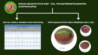 ENSAIO QUANTITATIVO NMP - COL. TOTAIS/TERMOTOLERANTES
(CONTINUAÇÃO):
USO DA TABELA NÚMERO MAIS PROVÁVEL TESTE QUALITATIVO PARA PRESENÇA DE E. COLI
 
