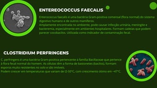 ENTEREOCOCCUS FAECALIS
Enterococcus faecalis é uma bactéria Gram-positiva comensal (flora normal) do sistema
digestivo humano e de outros mamíferos.
Amplamente encontrada no ambiente, pode causar infecção urinária, meningite e
bacteremia, especialmente em ambientes hospitalares. Formam cadeias que podem
parecer cocobacilos. Utilizada como indicador de contaminação fecal.
CLOSTRIDIUM PERFRINGENS
C. perfringens é uma bactéria Gram-positiva pertencente à família Bacillaceae que pertence
à flora fecal normal do homem. As células têm a forma de bastonetes (bacilos), formam
esporos muito resistentes no solo e são imóveis.
Podem crescer em temperaturas que variam de l2-50°C, com crescimento ótimo em ~47°C.
 