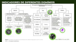 INDICADORES DE DIFERENTES DOMÍNIOS
Fonte: TÓBON, S. R.; et al.; 2016.
 