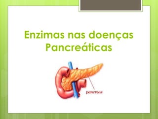Enzimas nas doenças 
Pancreáticas 
 