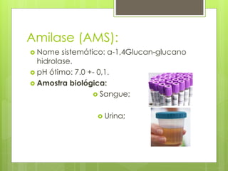 Amilase (AMS): 
 Nome sistemático: a-1,4Glucan-glucano 
hidrolase. 
 pH ótimo: 7.0 +- 0,1. 
 Amostra biológica: 
 Sangue; 
 Urina; 
 