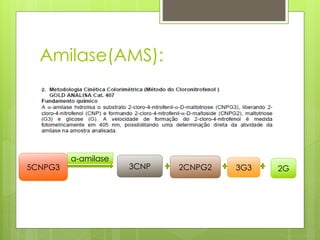 Amilase(AMS): 
5CNPG3 
α-amilase 
3CNP 2CNPG2 3G3 2G 
 