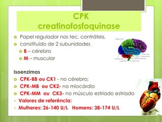 CPK 
creatinofosfoquinase 
 Papel regulador nos tec. contráteis. 
 constituído de 2 subunidades 
 B – cérebro 
 M – muscular 
Isoenzimas 
 CPK-BB ou CK1 - no cérebro; 
 CPK-MB ou CK2- no miocárdio 
 CPK-MM ou CK3- no músculo estriado estriado. 
 Valores de referência: 
 Mulheres: 26-140 U/L Homens: 38-174 U/L 
 