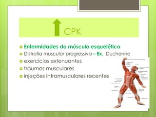 CPK 
 Enfermidades do músculo esquelético 
 Distrofia muscular progressiva – Ex. Duchenne 
 exercícios extenuantes 
 traumas musculares 
 injeções intramusculares recentes 
 