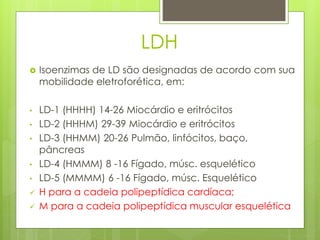 LDH 
 Isoenzimas de LD são designadas de acordo com sua 
mobilidade eletroforética, em: 
• LD-1 (HHHH) 14-26 Miocárdio e eritrócitos 
• LD-2 (HHHM) 29-39 Miocárdio e eritrócitos 
• LD-3 (HHMM) 20-26 Pulmão, linfócitos, baço, 
pâncreas 
• LD-4 (HMMM) 8 -16 Fígado, músc. esquelético 
• LD-5 (MMMM) 6 -16 Fígado, músc. Esquelético 
 H para a cadeia polipeptídica cardíaca; 
 M para a cadeia polipeptídica muscular esquelética 
 