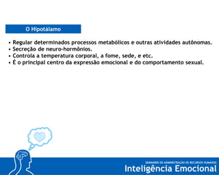O Hipotálamo
Sistema Límbico
•
•
•
•

Regular determinados processos metabólicos e outras atividades autônomas.
Secreção de neuro-hormônios.
Controla a temperatura corporal, a fome, sede, e etc.
É o principal centro da expressão emocional e do comportamento sexual.

 