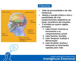 O Neocórtex
Sede da personalidade e da vida
intelectual.
• Modula a energia límbica e tem a
possibilidade de criar
comportamentos adaptativos ao
tomar consciência das emoções.
• É dividido em quatro regiões
principais:
1. Lobo frontal: Controla os
movimentos e os
comportamentos sociais
2. Lobo Parietal: Sentidos
3. Lobo Temporal: Audição e
Memorização
4. Lobo Occipital: Analisa e
interpreta as informações
captadas pela visão
•

 