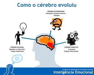 Como o cérebro evoluiu
CÉREBRO INTERMEDIÁRIO
P aleopálio (Sistema Límbico)
Emoções

CÉREBRO RACIONAL
Neopálio ou Neocórtex
Tarefas intelectuais

CÉREBRO PRIMITIVO
Arquipálio
Funções vitais básicas

 