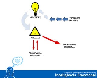 2007 - Seminário Graduação UNISA - Inteligência Emocional