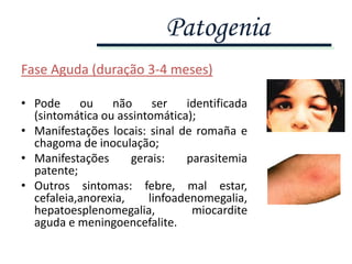 Fase Aguda (duração 3-4 meses)
• Pode ou não ser identificada
(sintomática ou assintomática);
• Manifestações locais: sinal de romaña e
chagoma de inoculação;
• Manifestações gerais: parasitemia
patente;
• Outros sintomas: febre, mal estar,
cefaleia,anorexia, linfoadenomegalia,
hepatoesplenomegalia, miocardite
aguda e meningoencefalite.
Patogenia
 