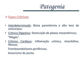 Fases Crônicas
• Interdeterminada: Baixa parasitemia e alto teor de
anticorpos.
• Crônico Digestiva: Destruição de plexos mesentéricos;
“Megas”.
• Crônico Cardíaca: Inflamação crônica, miocitólise,
fibrose;
Tromboembolismo periféricos;
Aneurisma de ponta.
Patogenia
 