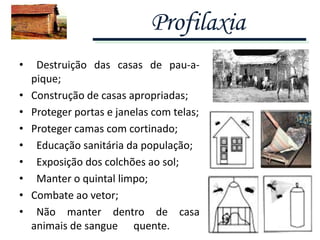 Profilaxia
• Destruição das casas de pau-a-
pique;
• Construção de casas apropriadas;
• Proteger portas e janelas com telas;
• Proteger camas com cortinado;
• Educação sanitária da população;
• Exposição dos colchões ao sol;
• Manter o quintal limpo;
• Combate ao vetor;
• Não manter dentro de casa
animais de sangue quente.
 