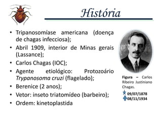 • Tripanosomíase americana (doença
de chagas infecciosa);
• Abril 1909, interior de Minas gerais
(Lassance);
• Carlos Chagas (IOC);
• Agente etiológico: Protozoário
Trypanosoma cruzi (flagelado);
• Berenice (2 anos);
• Vetor: inseto triatomídeo (barbeiro);
• Ordem: kinetoplastida
09/07/1878
08/11/1934
História
Figura – Carlos
Ribeiro Justiniano
Chagas.
 