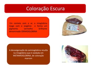 Coloração Escura 
Em contato com o ar, a mioglobina 
reage com o oxigênio e forma um 
pigmento vermelho brilhante 
denominado OXIMIOGLOBINA 
A desoxigenação da oximioglobina resulta 
na mioglobina que é oxidada em 
METAMIOGLOBINA, de coloração 
marrom 
 