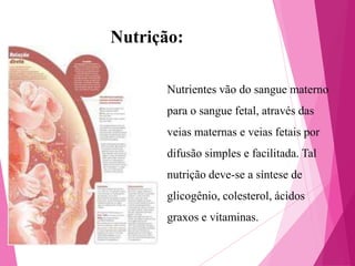Nutrição:
Nutrientes vão do sangue materno
para o sangue fetal, através das
veias maternas e veias fetais por
difusão simples e facilitada. Tal
nutrição deve-se a síntese de
glicogênio, colesterol, ácidos
graxos e vitaminas.

 