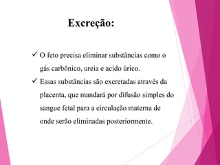 Excreção:
 O feto precisa eliminar substâncias como o
gás carbônico, ureia e acido úrico.

 Essas substâncias são excretadas através da
placenta, que mandará por difusão simples do
sangue fetal para a circulação materna de

onde serão eliminadas posteriormente.

 