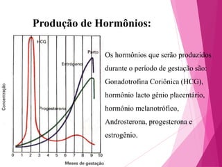 Produção de Hormônios:
Os hormônios que serão produzidos
durante o período de gestação são:
Gonadotrofina Coriônica (HCG),
hormônio lacto gênio placentário,

hormônio melanotrófico,
Androsterona, progesterona e
estrogênio.

 