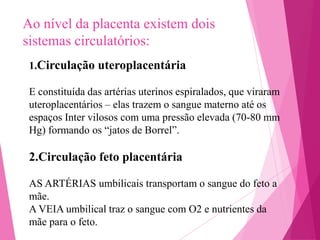 Ao nível da placenta existem dois
sistemas circulatórios:
1.Circulação uteroplacentária
E constituída das artérias uterinos espiralados, que viraram
uteroplacentários – elas trazem o sangue materno até os
espaços Inter vilosos com uma pressão elevada (70-80 mm
Hg) formando os “jatos de Borrel”.

2.Circulação feto placentária
AS ARTÉRIAS umbilicais transportam o sangue do feto a
mãe.
A VEIA umbilical traz o sangue com O2 e nutrientes da
mãe para o feto.

 