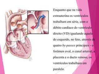 Enquanto que na vida
extrauterina os ventrículos
trabalham em série, com o

débito cardíaco do ventrículo
direito (VD) igualando aquele
do esquerdo, no feto, através de
quatro by-passes principais - o
forâmen oval, o canal arterial, a
placenta e o ducto venoso, os
ventrículos trabalham em
paralelo.

 