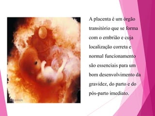 A placenta é um órgão
transitório que se forma
com o embrião e cuja
localização correta e
normal funcionamento
são essenciais para um
bom desenvolvimento da
gravidez, do parto e do
pós-parto imediato.

 