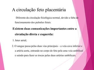 A circulação feto placentária
Diferente da circulação fisiológica normal, devido a falta de
funcionamento dos pulmões fetais.

Existem duas comunicações importantes entre a

circulação direta e esquerda:
1. Inter atrial;
2. O sangue passa pelas duas vias principais – a veia cava inferior e
a artéria aorta, entrando no corpo do feto pela uma veia umbilical
e saindo para fazer as trocas pelas duas artérias umbilicais.

 