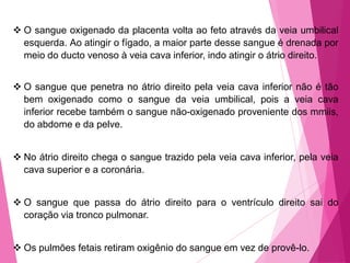  O sangue oxigenado da placenta volta ao feto através da veia umbilical
esquerda. Ao atingir o fígado, a maior parte desse sangue é drenada por
meio do ducto venoso à veia cava inferior, indo atingir o átrio direito.
 O sangue que penetra no átrio direito pela veia cava inferior não é tão
bem oxigenado como o sangue da veia umbilical, pois a veia cava
inferior recebe também o sangue não-oxigenado proveniente dos mmiis,
do abdome e da pelve.
 No átrio direito chega o sangue trazido pela veia cava inferior, pela veia
cava superior e a coronária.
 O sangue que passa do átrio direito para o ventrículo direito sai do
coração via tronco pulmonar.
 Os pulmões fetais retiram oxigênio do sangue em vez de provê-lo.

 