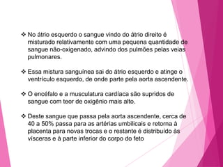  No átrio esquerdo o sangue vindo do átrio direito é
misturado relativamente com uma pequena quantidade de
sangue não-oxigenado, advindo dos pulmões pelas veias
pulmonares.
 Essa mistura sanguínea sai do átrio esquerdo e atinge o
ventrículo esquerdo, de onde parte pela aorta ascendente.
 O encéfalo e a musculatura cardíaca são supridos de
sangue com teor de oxigênio mais alto.
 Deste sangue que passa pela aorta ascendente, cerca de
40 a 50% passa para as artérias umbilicais e retorna à
placenta para novas trocas e o restante é distribuído às
vísceras e à parte inferior do corpo do feto

 