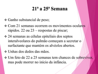 21ª a 25ª Semana


Ganho substancial de peso;



Com 21 semanas ocorrem os movimentos oculares
rápidos. 22 ou 23 – respostas de piscar;



24 semanas as células epiteliais dos septos
interalveolares do pulmão começam a secretar o
surfactante que mantém os alvéolos abertos.



Unhas dos dedos das mãos.



Um feto de 22 a 25 semanas tem chances de sobreviver,
mas pode morrer no início da infância.

 