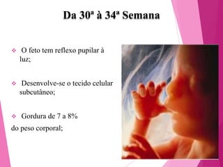 Da 30ª à 34ª Semana


O feto tem reflexo pupilar à
luz;



Desenvolve-se o tecido celular
subcutâneo;



Gordura de 7 a 8%

do peso corporal;

 