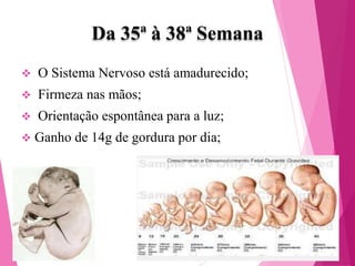 Da 35ª à 38ª Semana


O Sistema Nervoso está amadurecido;



Firmeza nas mãos;



Orientação espontânea para a luz;



Ganho de 14g de gordura por dia;

 