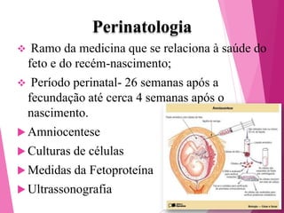 Perinatologia


Ramo da medicina que se relaciona à saúde do
feto e do recém-nascimento;



Período perinatal- 26 semanas após a
fecundação até cerca 4 semanas após o
nascimento.

 Amniocentese
 Culturas

de células

 Medidas

da Fetoproteína

 Ultrassonografia

 