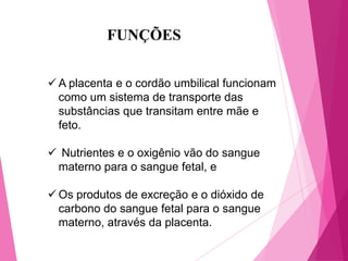 FUNÇÕES
 A placenta e o cordão umbilical funcionam
como um sistema de transporte das
substâncias que transitam entre mãe e
feto.
 Nutrientes e o oxigênio vão do sangue
materno para o sangue fetal, e
 Os produtos de excreção e o dióxido de
carbono do sangue fetal para o sangue
materno, através da placenta.

 