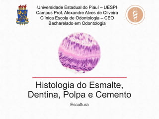 Universidade Estadual do Piauí – UESPI
Campus Prof. Alexandre Alves de Oliveira
Clínica Escola de Odontologia – CEO
Bacharelado em Odontologia
Histologia do Esmalte,
Dentina, Polpa e Cemento
Escultura
 
