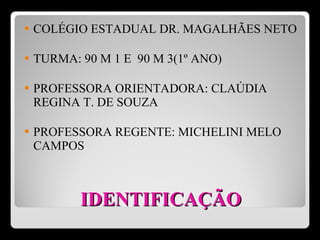 IDENTIFICAÇÃO COLÉGIO ESTADUAL DR. MAGALHÃES NETO TURMA: 90 M 1 E  90 M 3(1º ANO) PROFESSORA ORIENTADORA: CLAÚDIA REGINA T. DE SOUZA  PROFESSORA REGENTE: MICHELINI MELO CAMPOS 