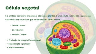 Estruturas e Funções das Organelas Vegetativas na Célula Vegetal | PDF