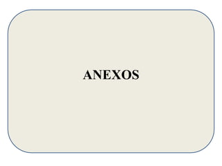ANEXOS 
 