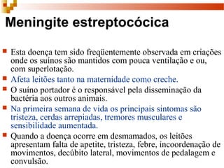 Meningite estreptocócica
 Esta doença tem sido freqüentemente observada em criações 
onde os suínos são mantidos com pouca ventilação e ou, 
com superlotação.
 Afeta leitões tanto na maternidade como creche.  
 O suíno portador é o responsável pela disseminação da 
bactéria aos outros animais. 
 Na primeira semana de vida os principais sintomas são 
tristeza, cerdas arrepiadas, tremores musculares e 
sensibilidade aumentada. 
 Quando a doença ocorre em desmamados, os leitões 
apresentam falta de apetite, tristeza, febre, incoordenação de 
movimentos, decúbito lateral, movimentos de pedalagem e 
convulsão. 
 
