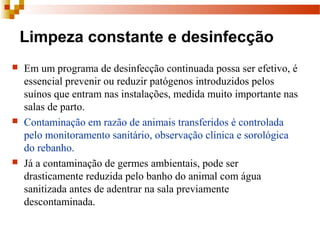 Limpeza constante e desinfecção
 Em um programa de desinfecção continuada possa ser efetivo, é 
essencial prevenir ou reduzir patógenos introduzidos pelos 
suínos que entram nas instalações, medida muito importante nas 
salas de parto.
 Contaminação em razão de animais transferidos é controlada 
pelo monitoramento sanitário, observação clínica e sorológica 
do rebanho.
 Já a contaminação de germes ambientais, pode ser 
drasticamente reduzida pelo banho do animal com água 
sanitizada antes de adentrar na sala previamente 
descontaminada.
 