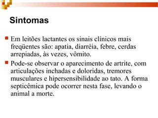 Sintomas
 Em leitões lactantes os sinais clínicos mais
freqüentes são: apatia, diarréia, febre, cerdas
arrepiadas, às vezes, vômito.
 Pode-se observar o aparecimento de artrite, com
articulações inchadas e doloridas, tremores
musculares e hipersensibilidade ao tato. A forma
septicêmica pode ocorrer nesta fase, levando o
animal a morte.
 