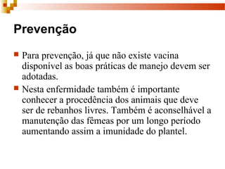 Prevenção
 Para prevenção, já que não existe vacina
disponível as boas práticas de manejo devem ser
adotadas.
 Nesta enfermidade também é importante
conhecer a procedência dos animais que deve
ser de rebanhos livres. Também é aconselhável a
manutenção das fêmeas por um longo período
aumentando assim a imunidade do plantel.
 